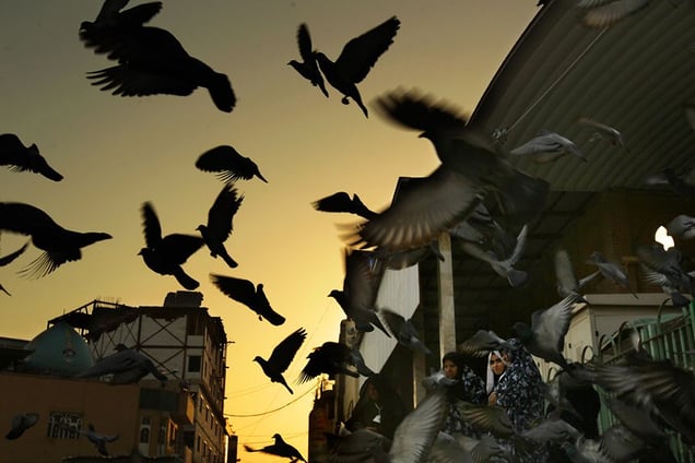 Lens Culture International Exposure Awards 2012, Honorable Mention. © Kate Geraghty