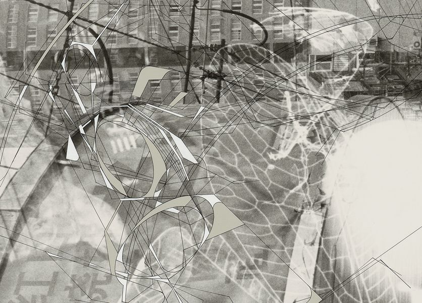 Traceryscape — A net-enshrouded landscape