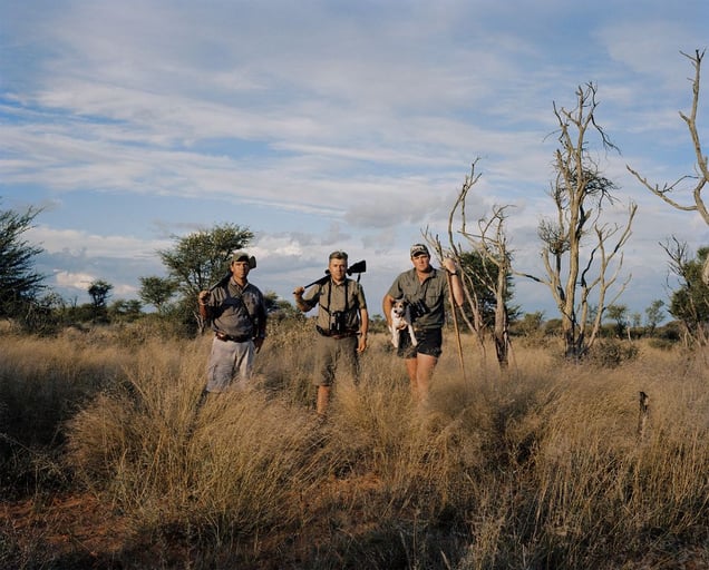 hunting lion, kalahari, northern cape, south africa-from the series 'hunters'-David Chancellor