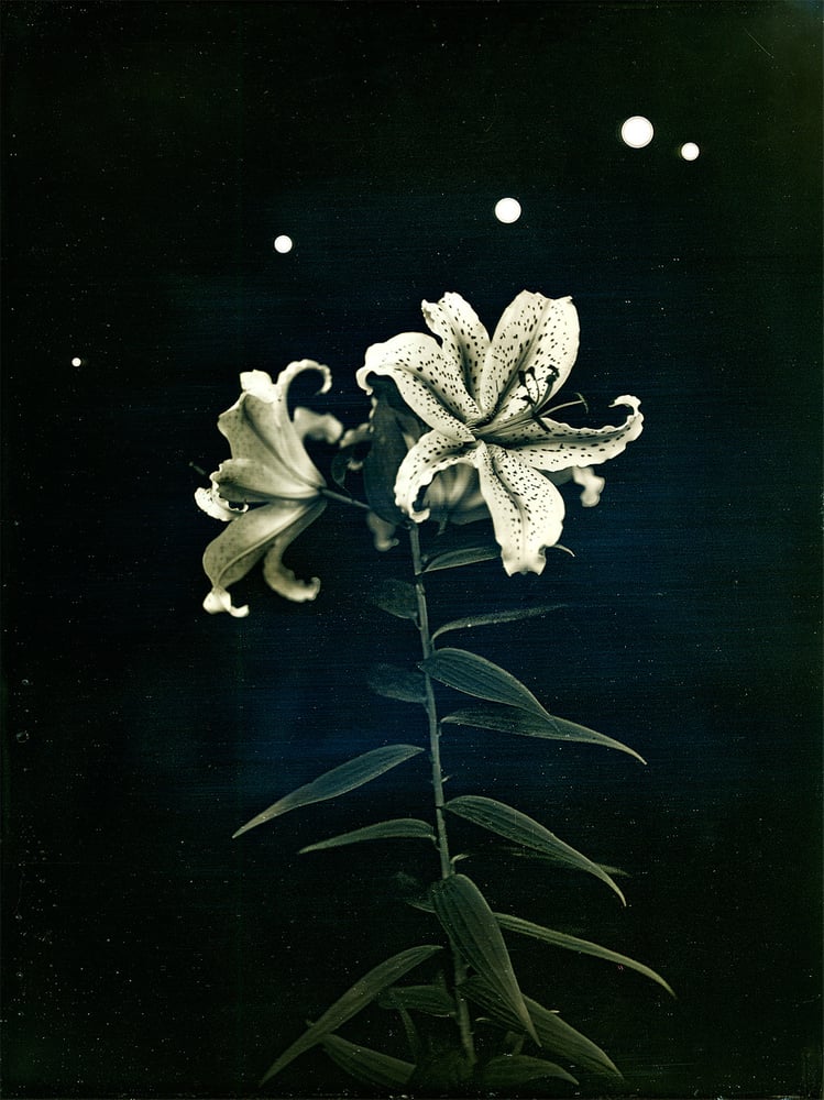 Japan: Mariko Takeuchi