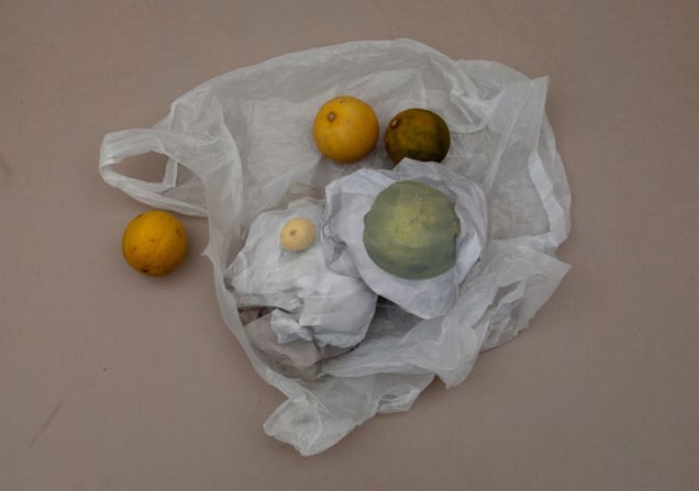 Horizon as reproduction (17), 2010 © Ilona Plaum. All images courtesy of Huis Marseille.