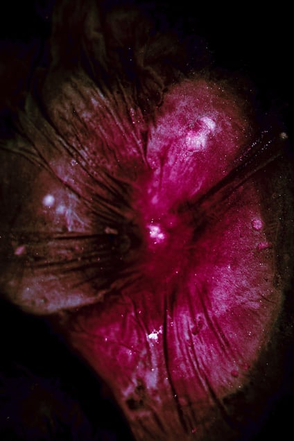 The Carbon Bloom of the Lotus Flower