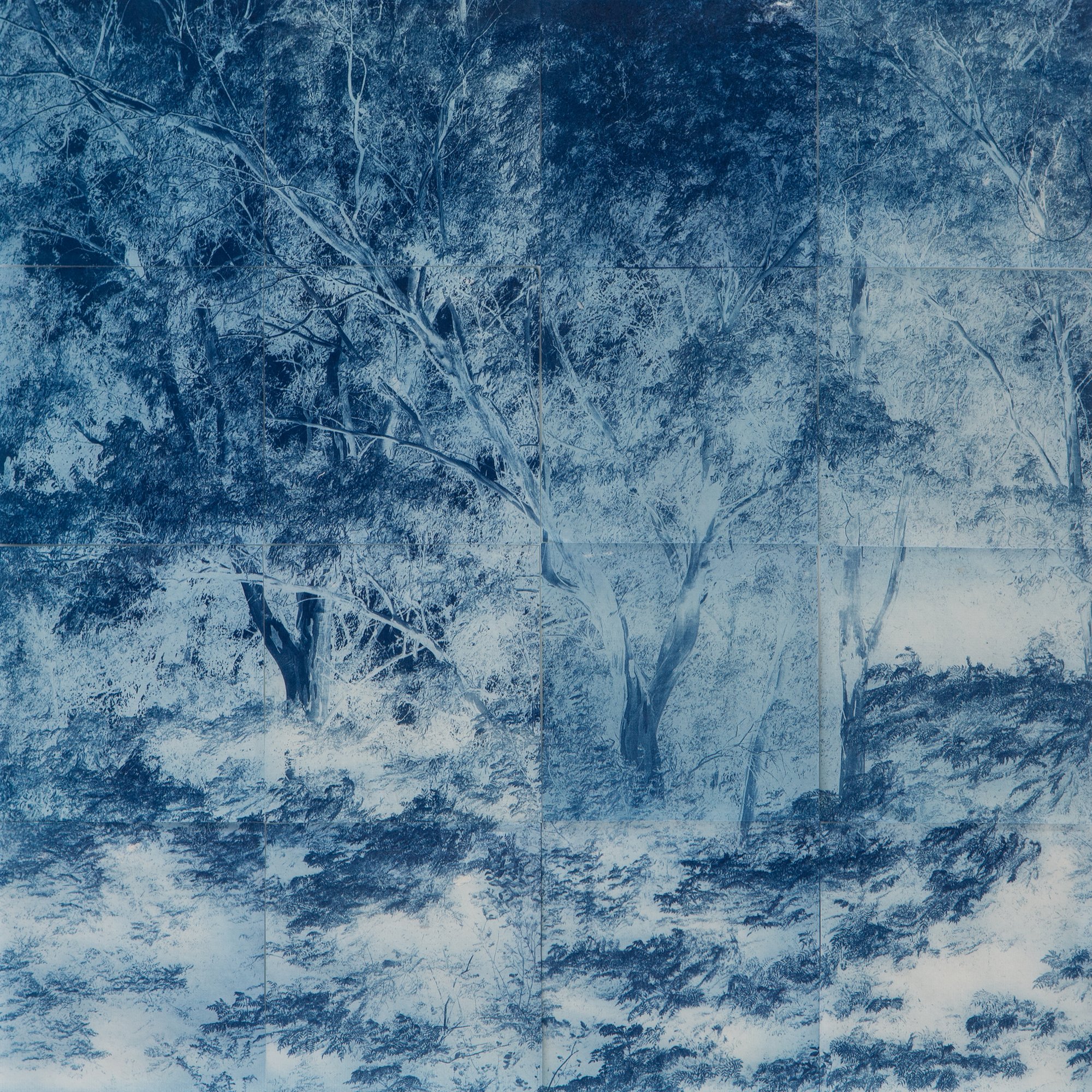 winner of photography awards