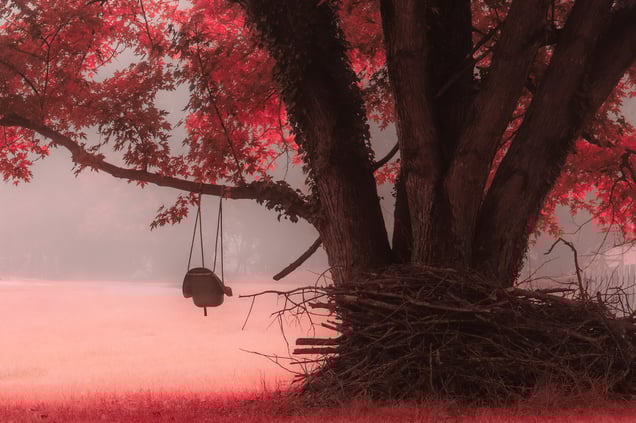 A Dream from a Forgotten Childhood