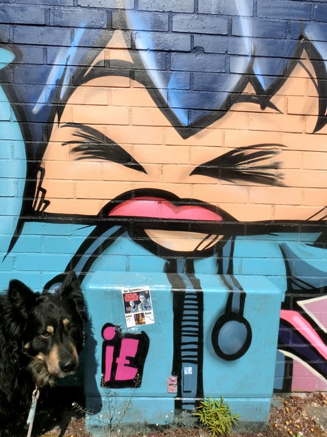 "THE PSYCHEDELIC PITFALL" or "THE AWFUL AKWARD AWARENESS TRAP" "DIE SCHRECKLICHE SCHRECKLICH PEINLICHE PSYCHEDELISCHE BEWUßTHEITSFALLE"