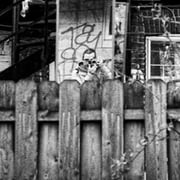 Simon Tremblay-Cloutier