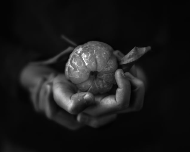 Winter Citrus