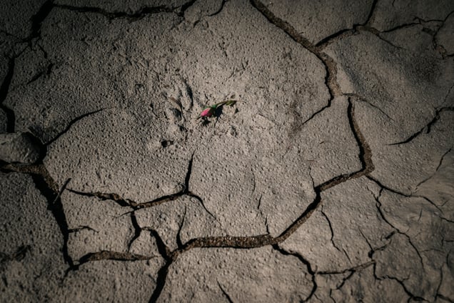 A landscape under strain, Bulgaria, 2025.