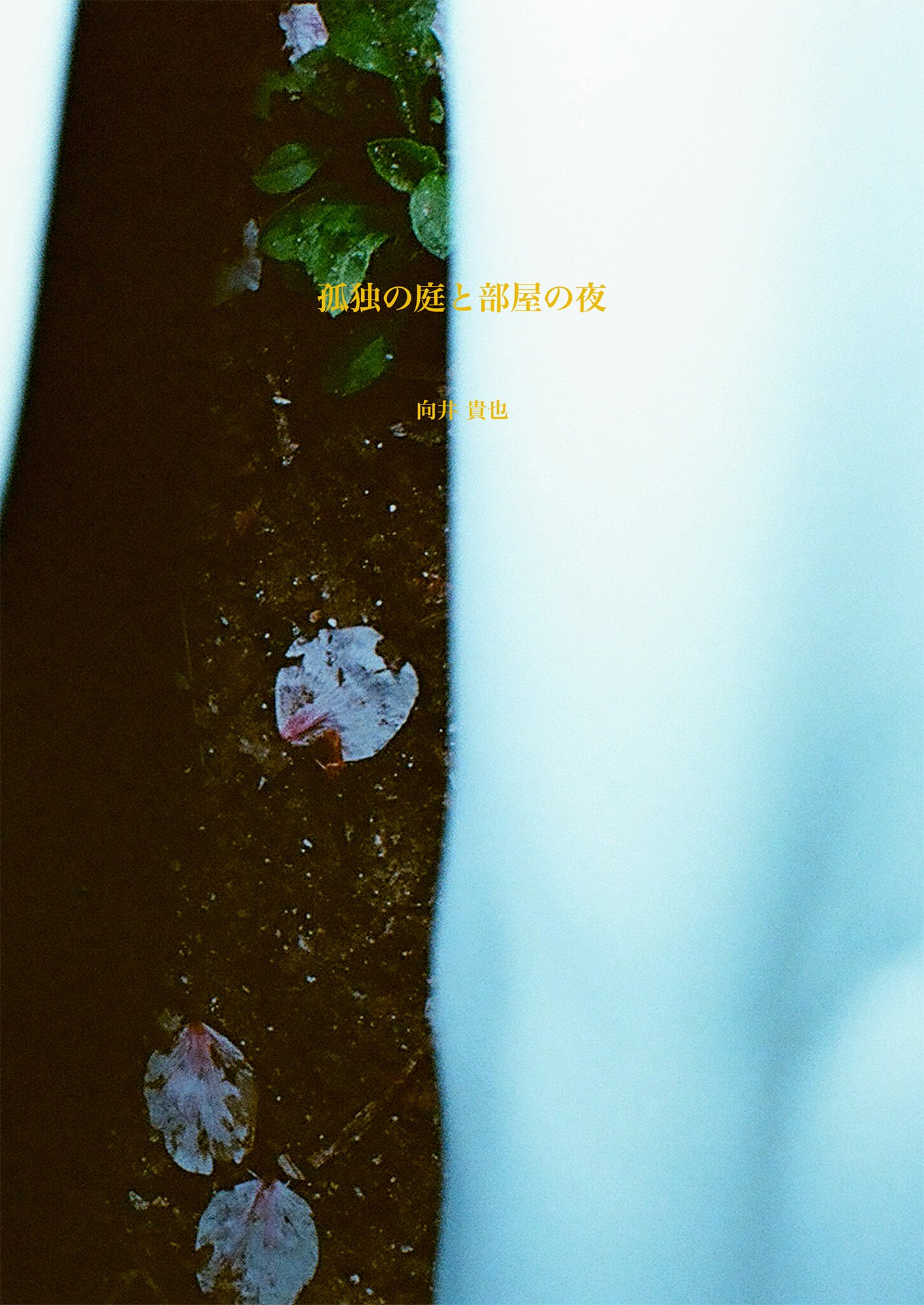 孤独の庭と部屋の夜 (Solitary Garden and Room Night)