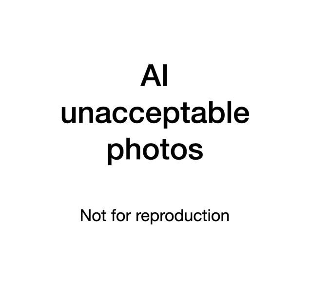 AInthropology  /  AInthropologie