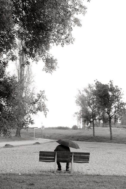The Shelter