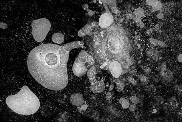 Symphnia, from the series, "Hydrology: Visions in Ice" © 2008 Douglas Capron