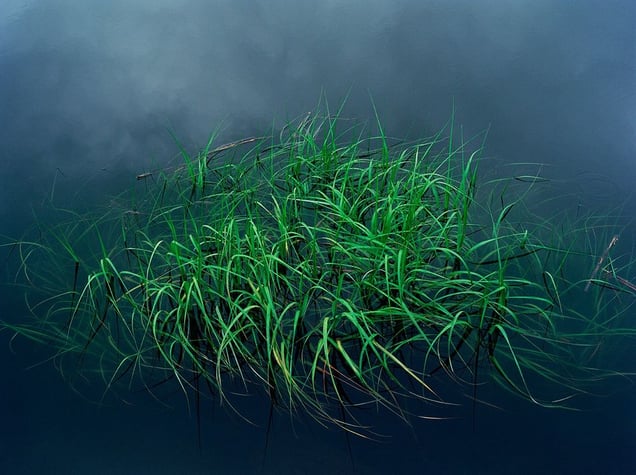 Float
