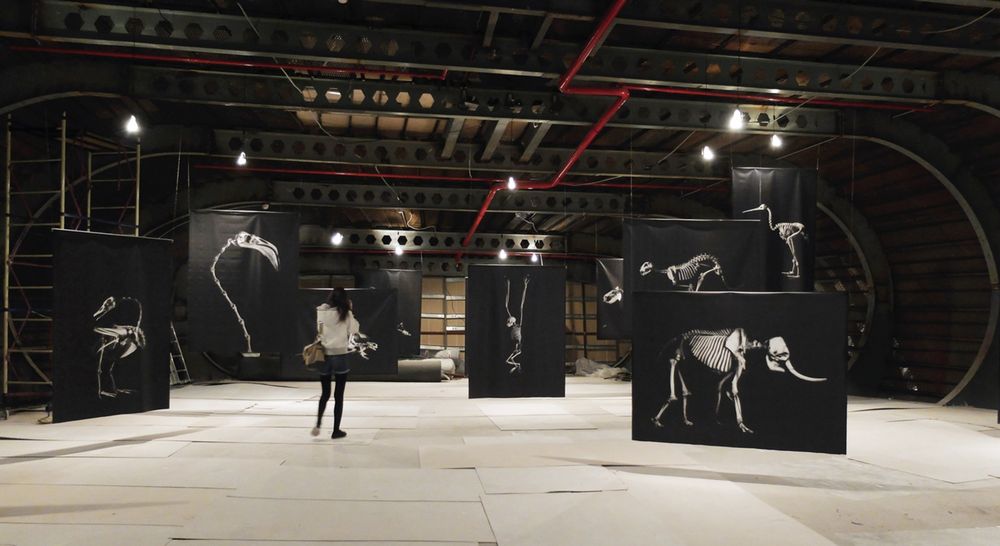 Evolution: In Action - Photographs byPatrick Gries | LensCulture