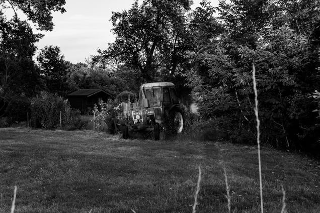 Countryside landscapes
