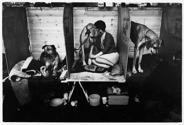 Cruft's Dog Show, London, 1966. Tony Ray-Jones © The National Media Museum, Bradford, UK