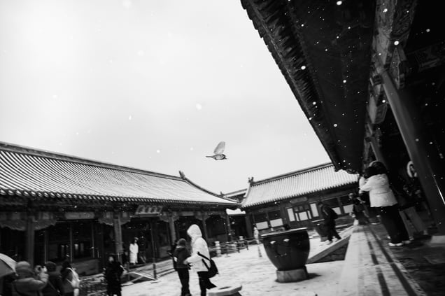 Snow Over the Forbidden City