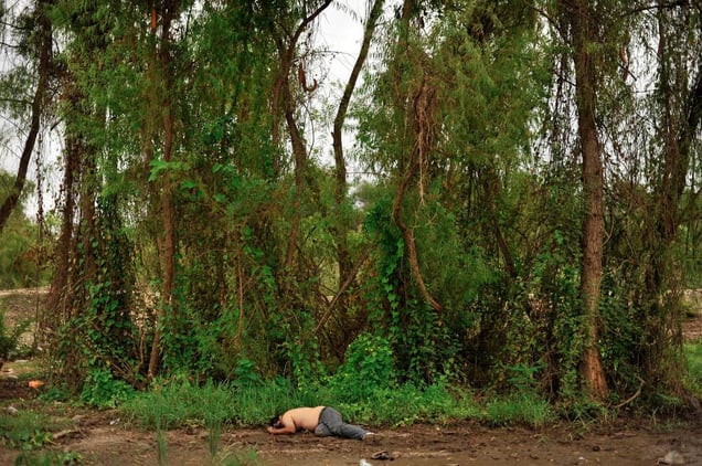 Lost in the Landscape, 2006