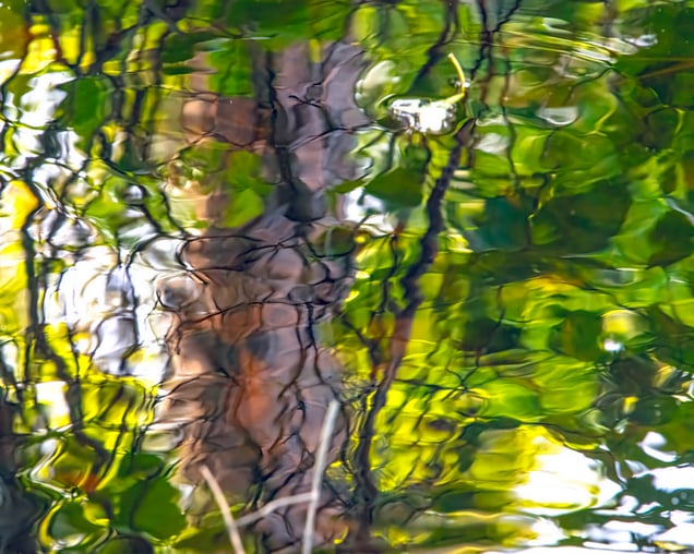 Beneath the Surface
