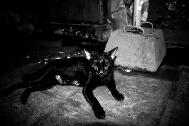 Inside My Head- Aji Susanto Anom - Siem Reap 2015