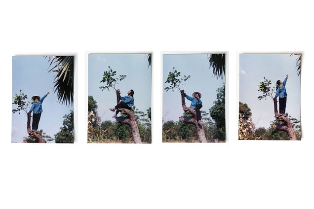 Pornpet Muensri climbing trees. Photos from Pornpet Muensri's archive.