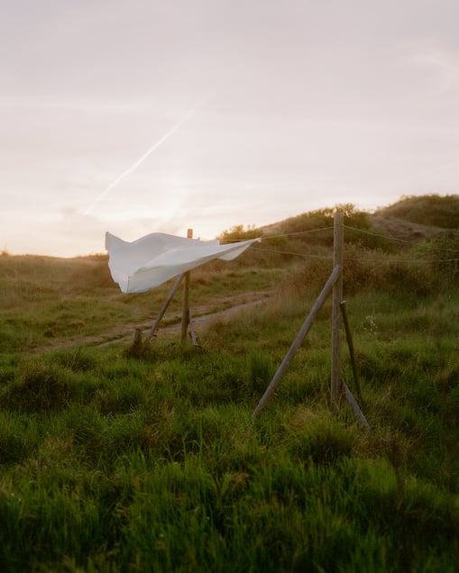 From the photo story, Wijk