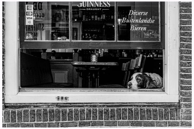 Amsterdam streets