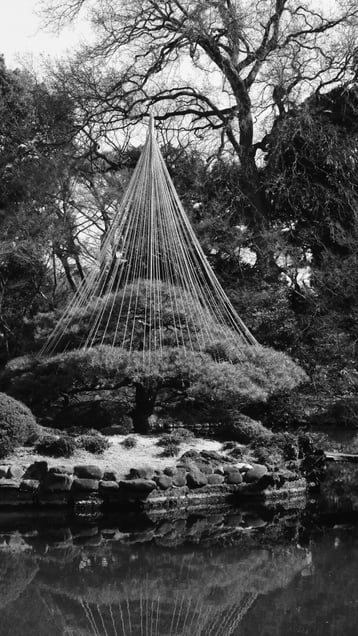 Garden umbrella