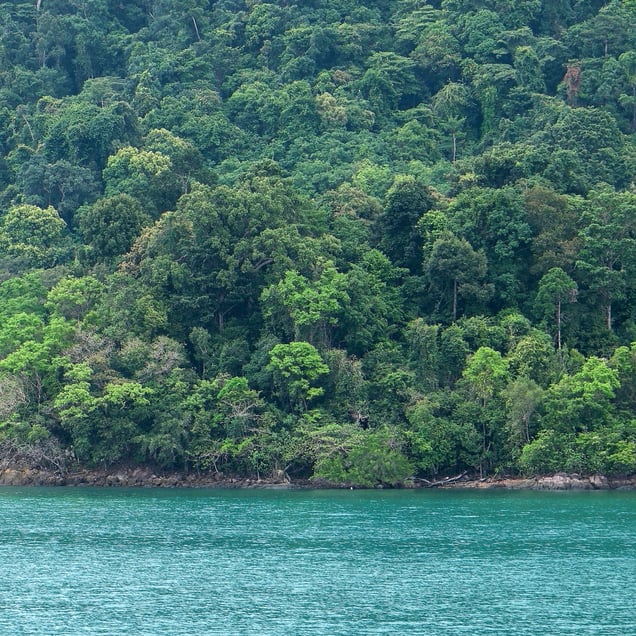 Ko Chang, Thailand 2024