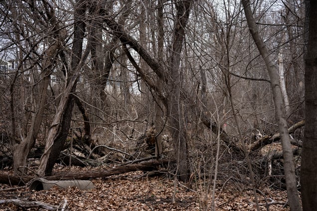 What Remains