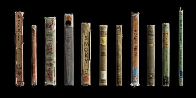 Multiple Spines (All About Dinosaurs, Jenny’s Birthday Book, The Family Treasury of Childrens’ Stories, A Light in the Attic, Smoky, The House on a Cliff, Tabitha Dingle, Homer Price, Uncle Walt, Daniel Boone Boy Hunter, The Book of Nah-Wee) © Kerry Mansfield