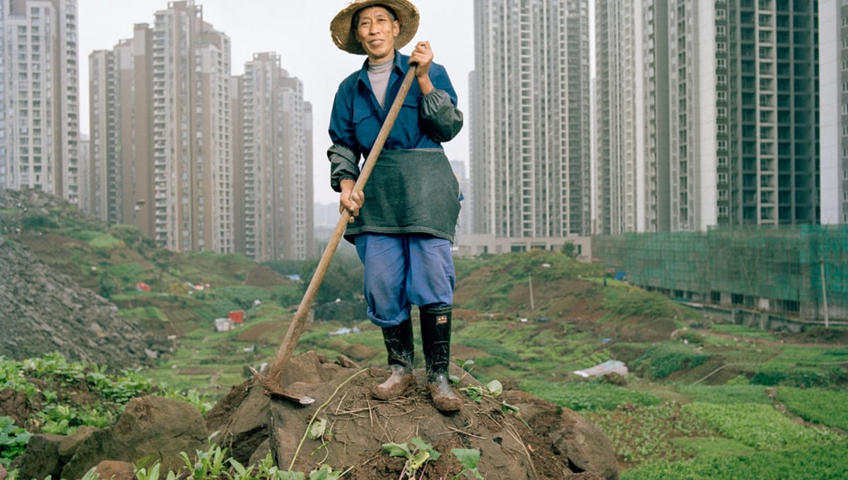 Ren Yidi - Urban Farmer