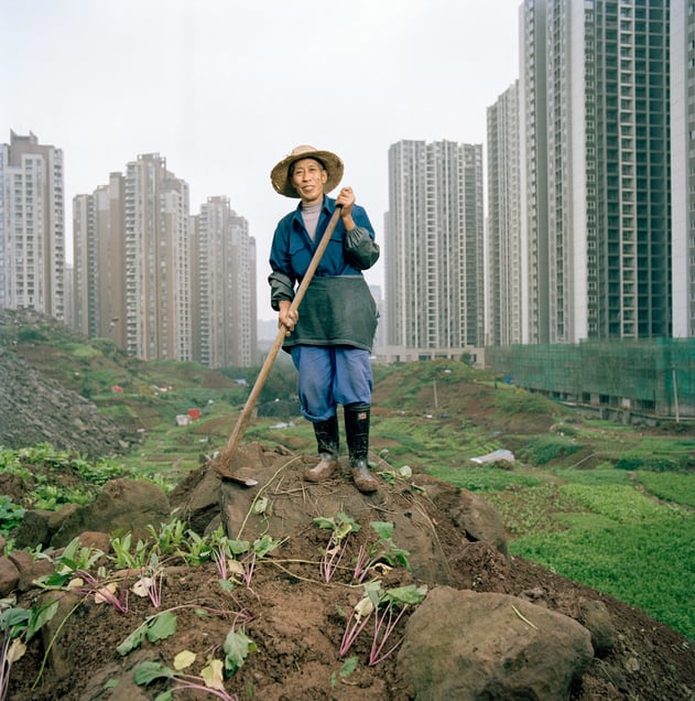 Ren Yidi - Urban Farmer