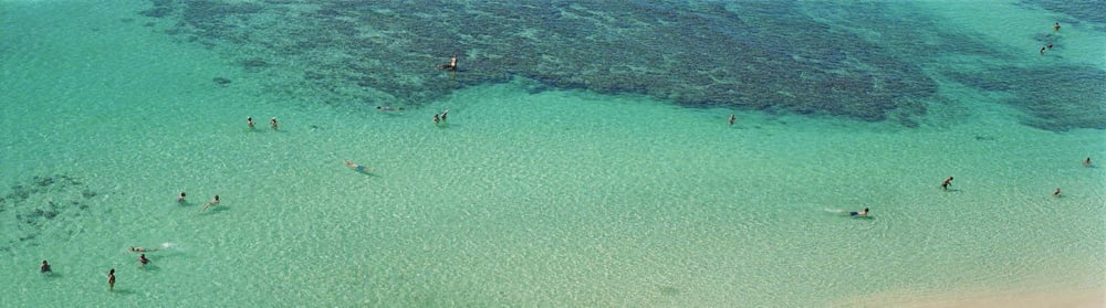 On the Beach - Photographs by Richard Misrach | LensCulture