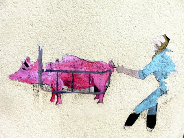 "ORIGINAL CRUELTY" or "THE TORTURE NEVER STOPS" "Ursprüngliche Grausamkeit" oder "Die Folter hört niemals auf"