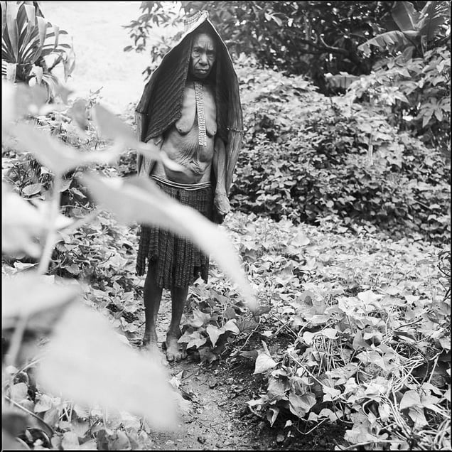 DANI, Papua Provinz, Indonesia