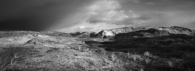 Southern Bergen Dunes (2)