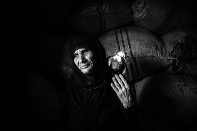 Portrait of Anbar Jaberi (72), the mother of martyr Nematollah Jaberi, has waited 23 years for news of her son. She finds tranquility in giving food and water to her doves _ IRAN _ Illam