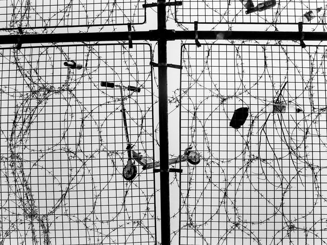 Wee Muckers – Youth of Belfast