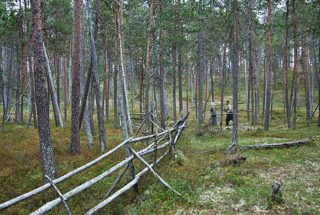 from the series 'Vieraalla maalla (In a Foreign Place)'