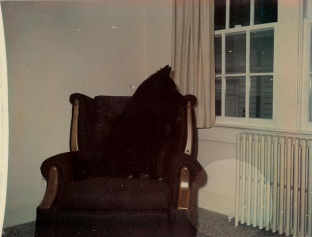 © KesselsKramer Publishing, from In Almost Every Picture #9