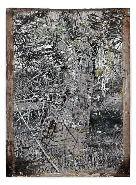Untitled Kleinmachnow, 2012, 176 x 127 cm, Silver Gelatin Print, Mixed Media © Jeff Cowen