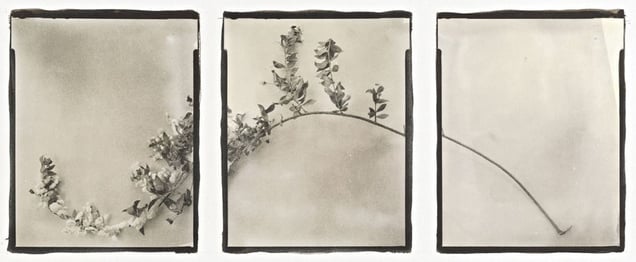 Lens Culture International Exposure Awards 2012, Honorable Mention. © Claire Warden