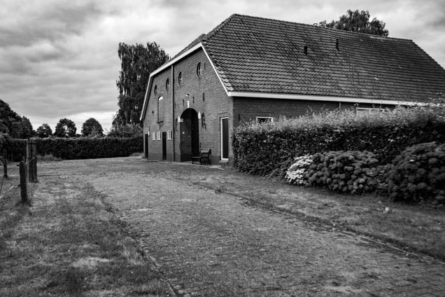 Countryside landscapes