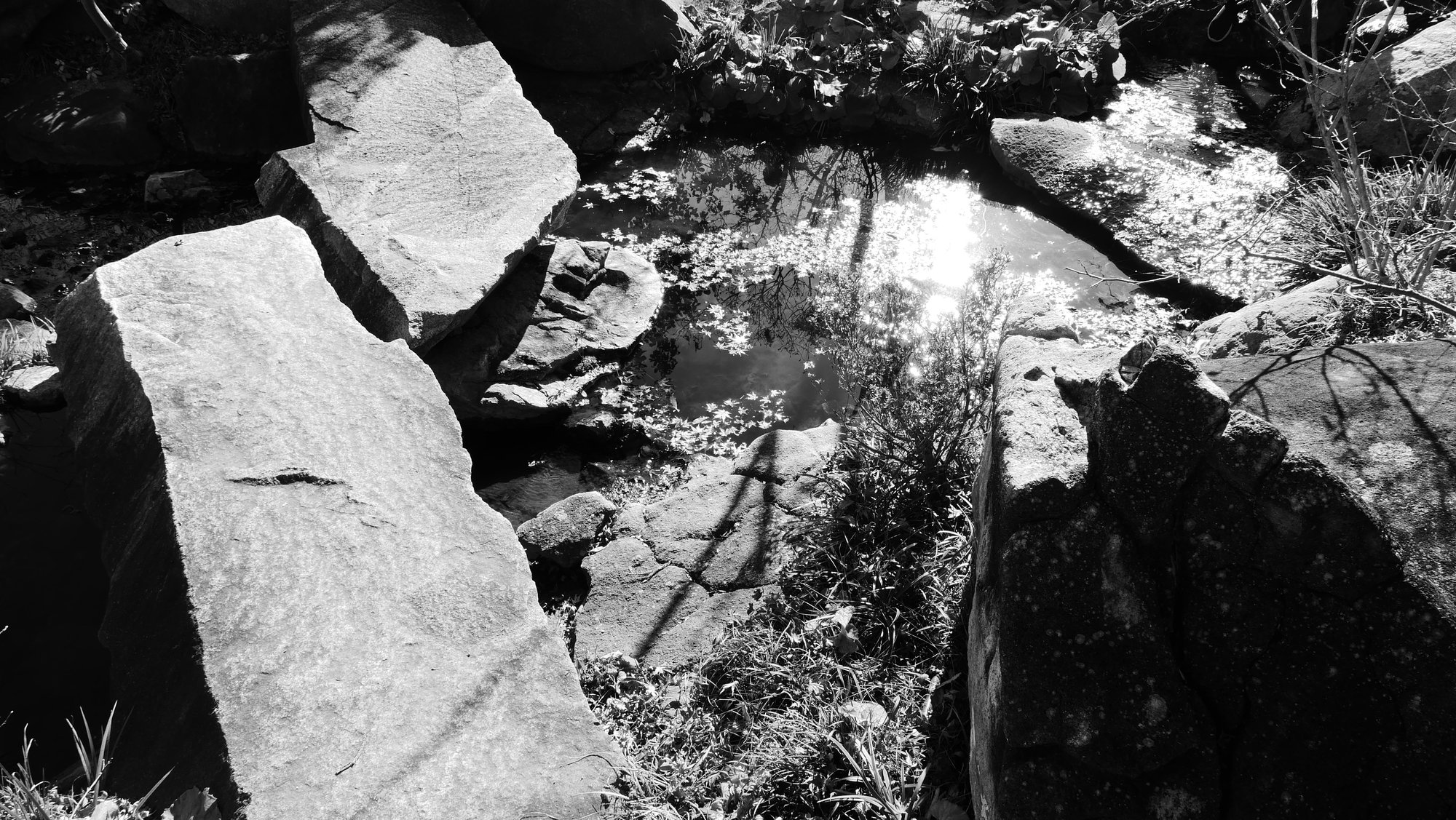 Silence Between Stones