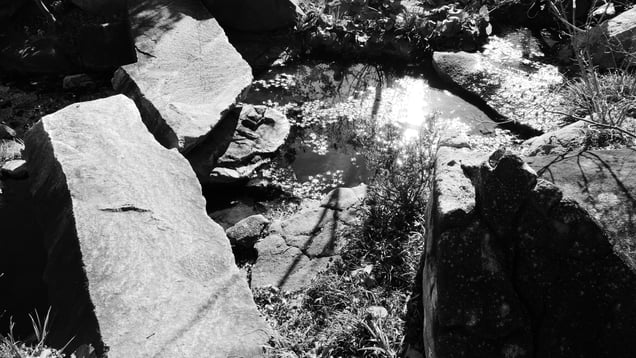 Silence Between Stones