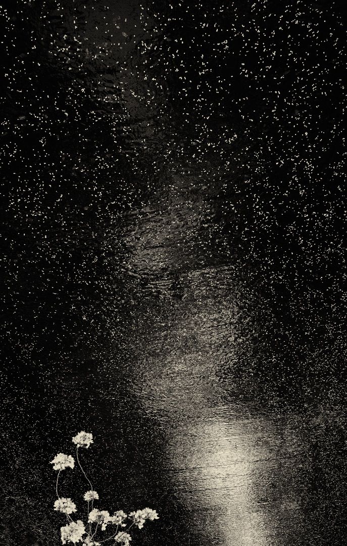 The Mouth Of Krishna