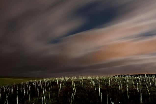 Peacehaven & Telscombe 0 Leiston 4