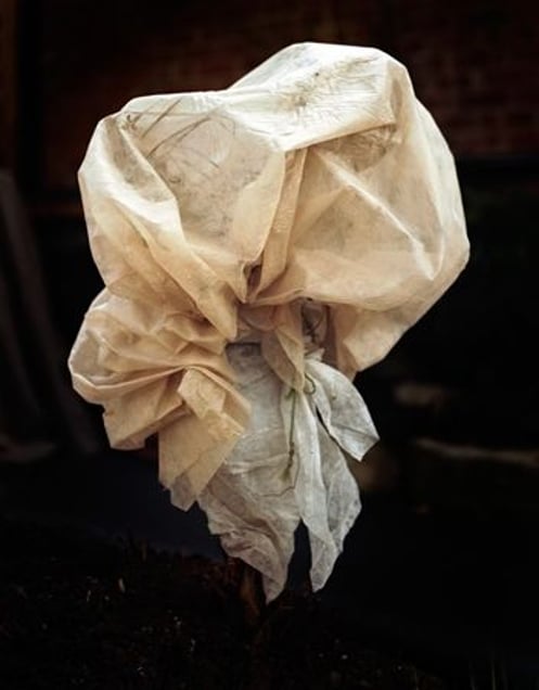 From the series Covered, 2009 © Peter Ainsworth