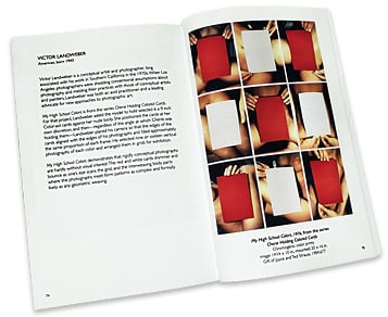 Photography and Vision: Companion to the Strauss Photography Collection